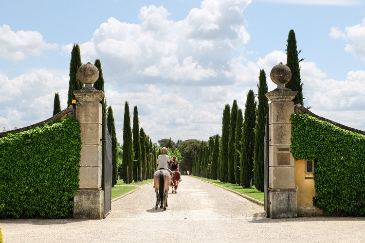 Horseback Riding in Tuscany between the Cyprus Trees