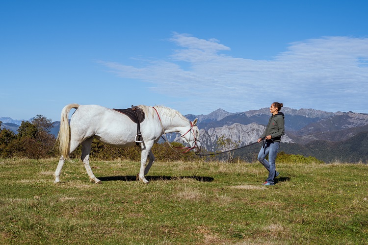 Horseback Riding at the Oasyhotel in Tuscany