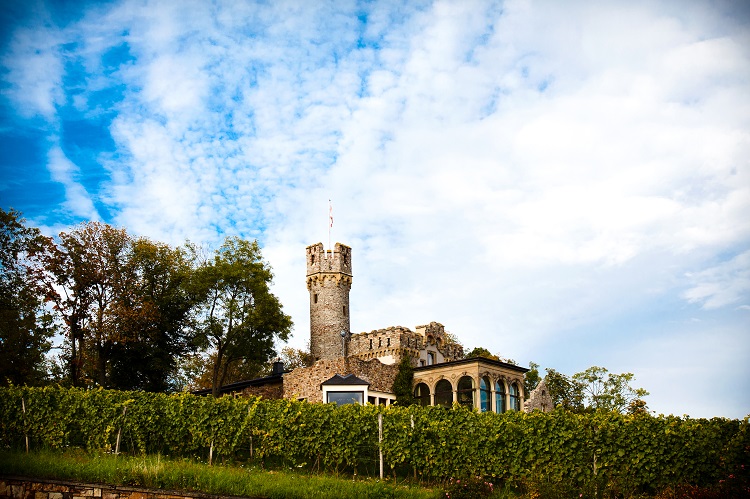 Burg Schwarzenstein im Weinberg Wine Hotel in Germany