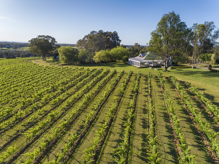 Spicers Vineyards Hotel in Australia