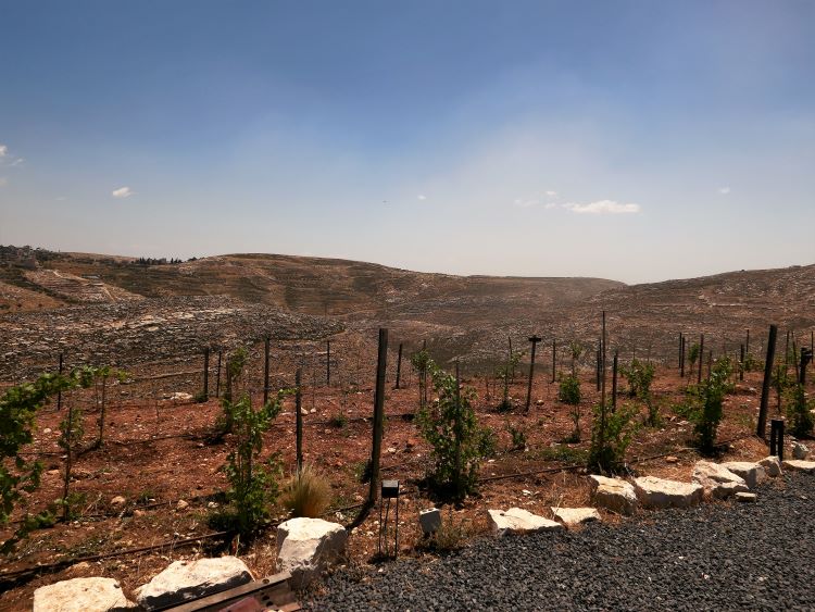 wineries tour jerusalem