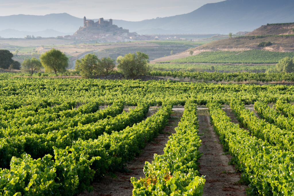 Rioja Alta wine region