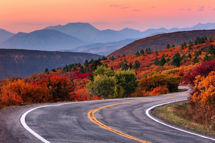 Fall Foliage along a winding road in the Colorado Rockies
