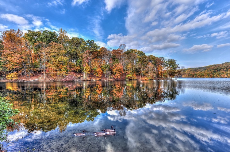 Lake scenery during the fall in Maryland