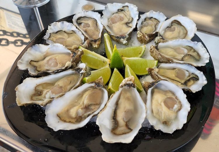 oysters in Setubal