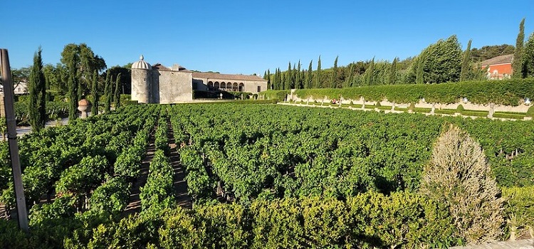 wineries in Setubal Portugal