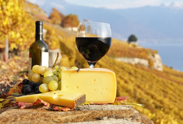 Merlot and Cheese pairing in Lavaux, Switzerland