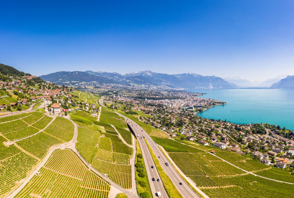 Lavaux wine region