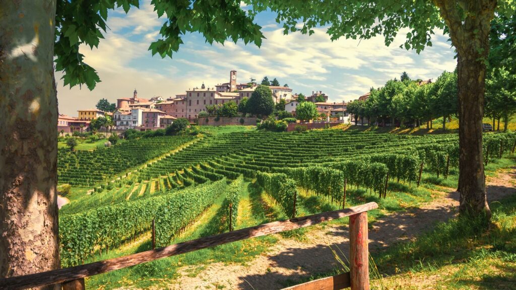 Neive village and Langhe vineyards