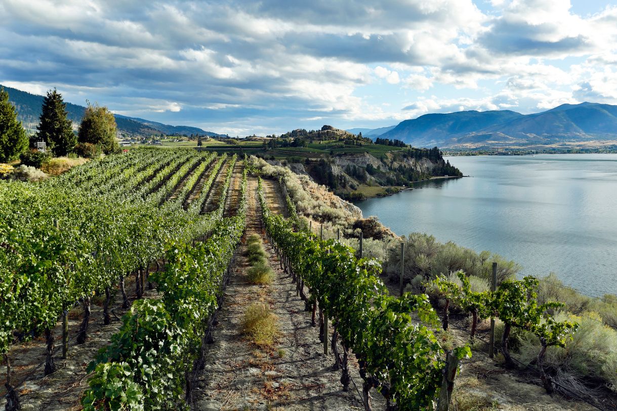 Beautiful view of Canada's wine regions and why you should visit