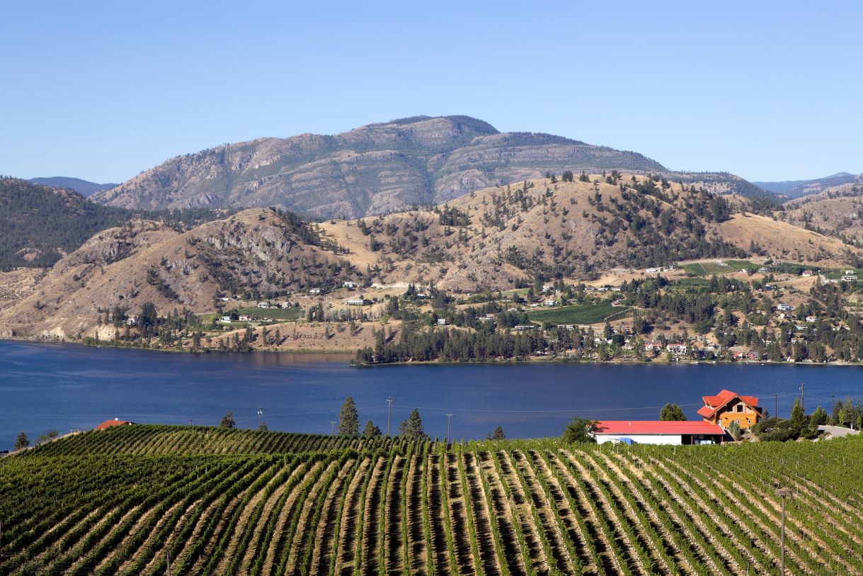 Beautiful view of Canada's wine regions