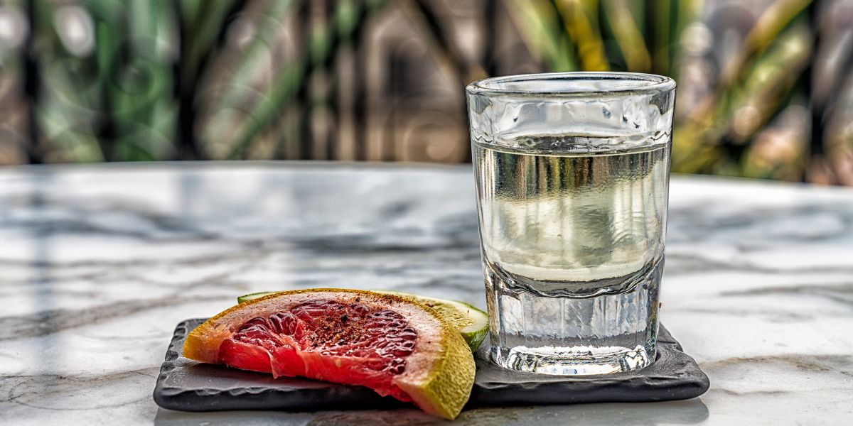 Shot of Mezcal: Guide to Mezcal and what it is