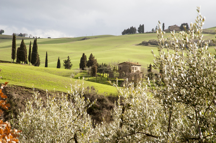 Val d'Orcia in the Siena Province