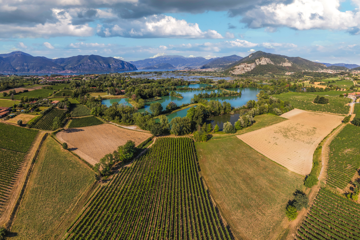 Aerial view of the Franciacorta wine region in Italy