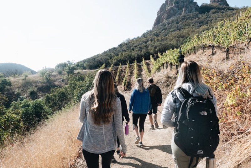 Malibu vineyard hike tour