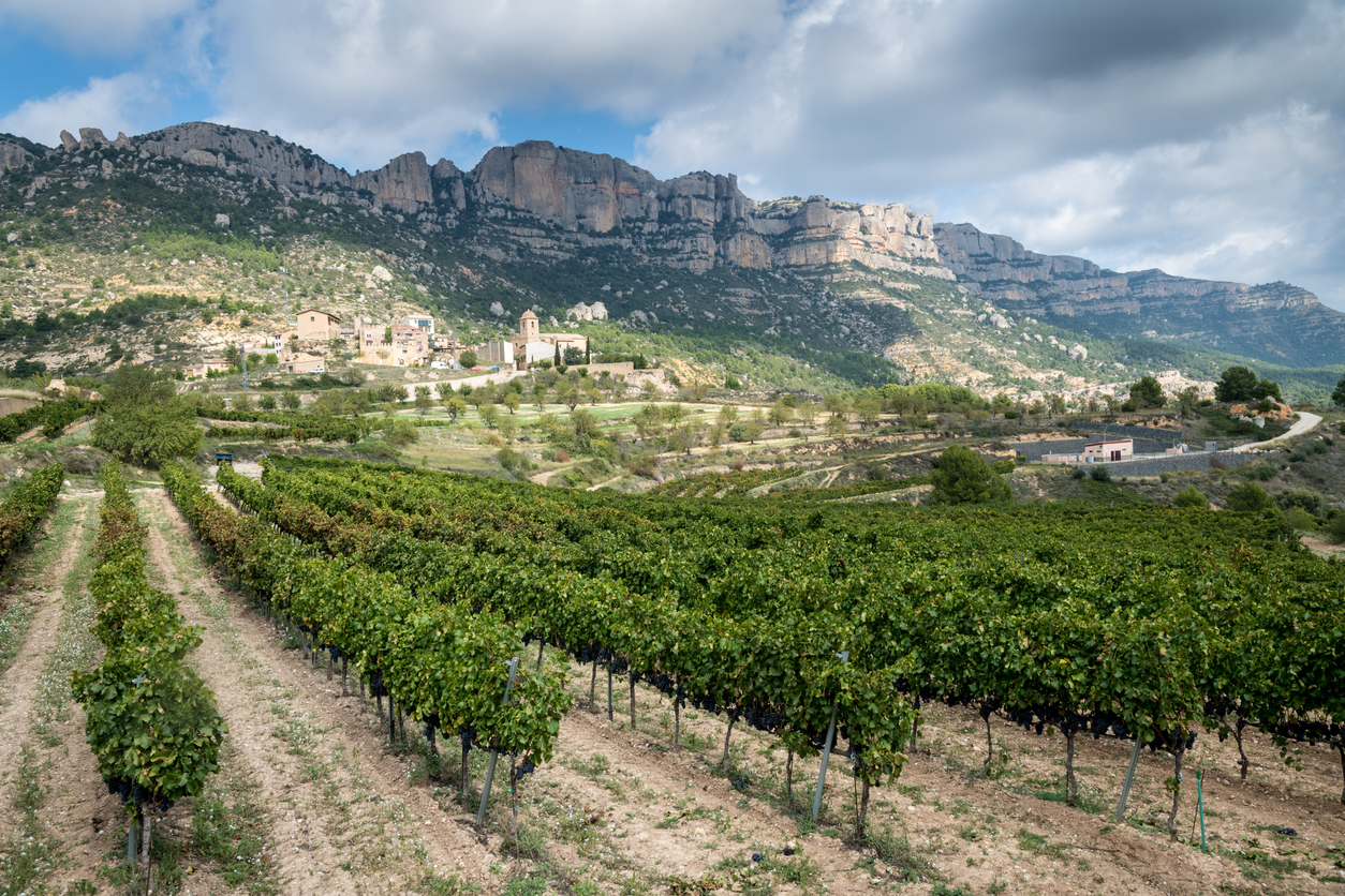 Beautiful view of one of Spain's wine regions