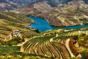 Douro Valley Wine Region View 1