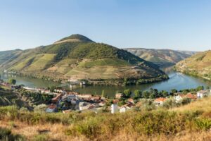 Douro Valley Wine Region View 3