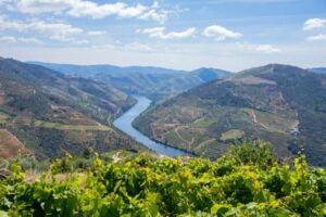 Douro Valley Wine Region View 5