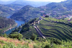Douro Valley Wine Region View 8