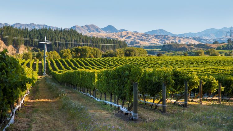 Awatere Valley in Marlborough NZ Winetraveler