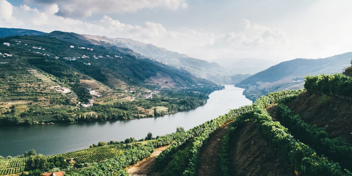 Epic view of the Douro Valley wine region during a wine tour