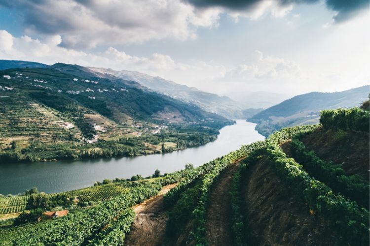 Beautiful view of the Douro Valley and river