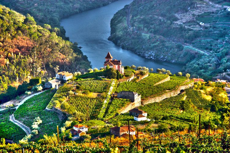 Douro Valley, Portugal aerial view winetraveler
