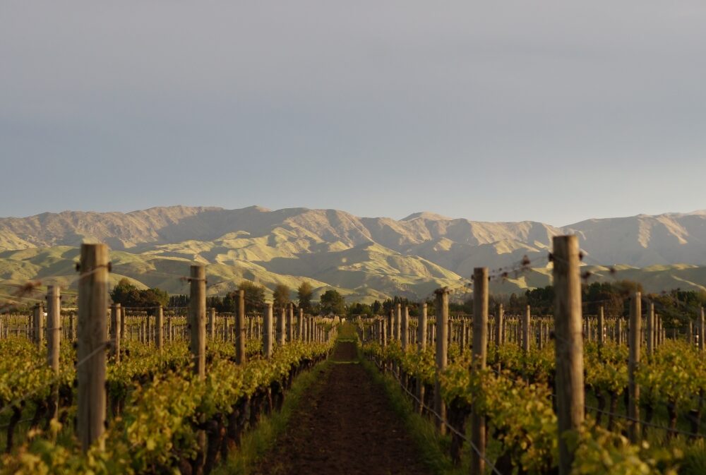 Beautiful view of New Zealand South Island