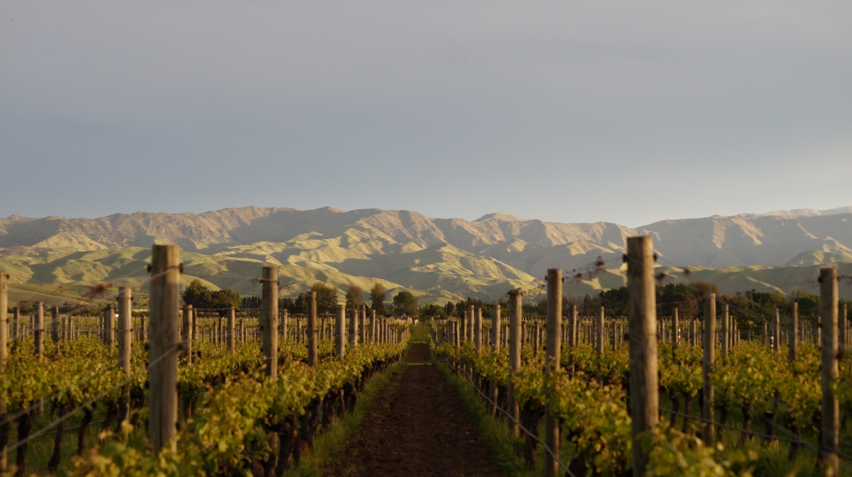 Beautiful view of New Zealand South Island