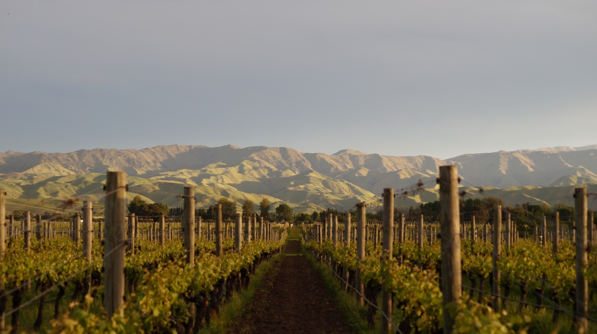 Beautiful view of New Zealand South Island