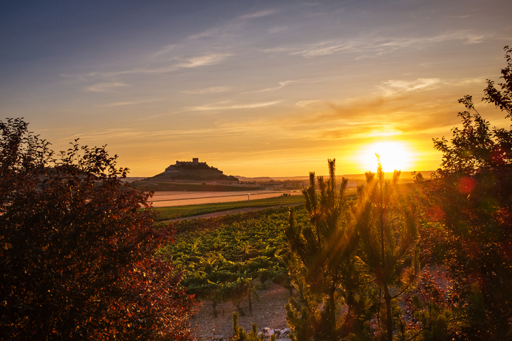 View of the vineyards at sunset with the silhouette of the castle of Peñafiel in the background.