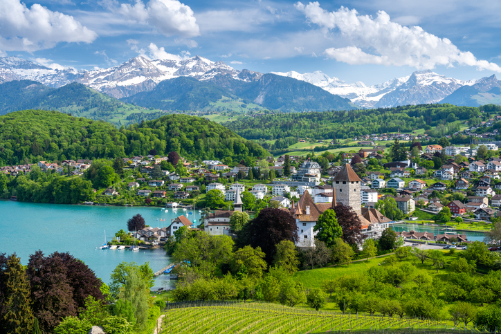 Swiss Wine Production - Near Spiez town, Thun lake and the Swiss Alps