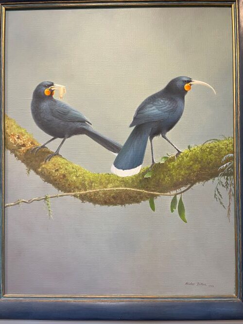 The extinct Huia Birds are the namesake for Huia Vineyards, Marlborough