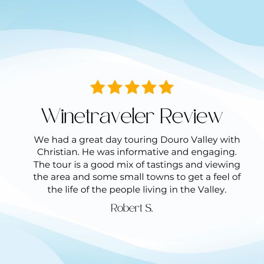 douro valley wine tour review