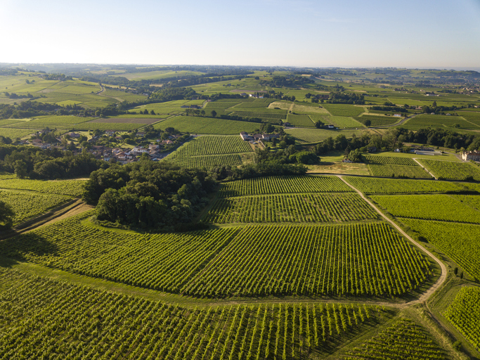 Aerial view of the Sauternes region in France
