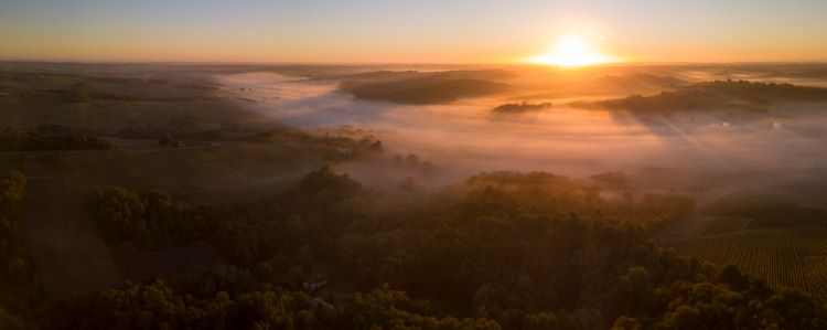 Aerial view of morning fog in the Sauternes region at sunrise.
