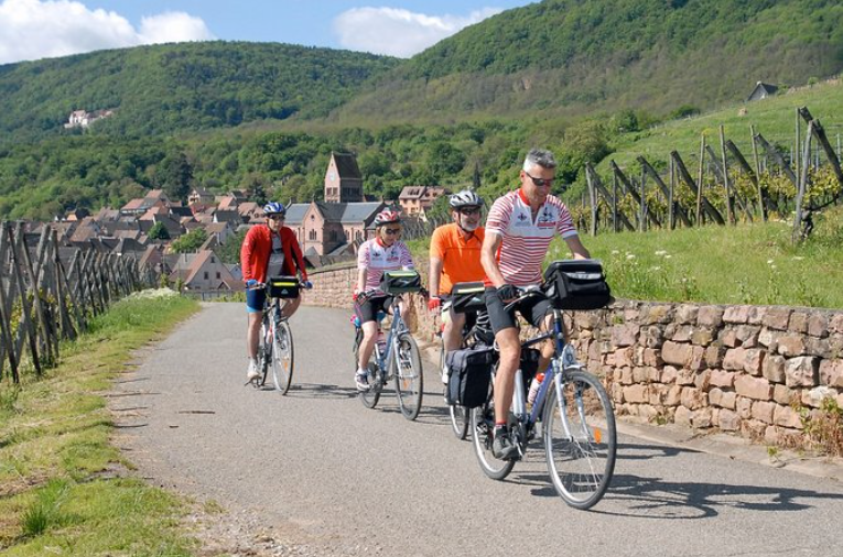 Bike and wine tasting tour in Alsace