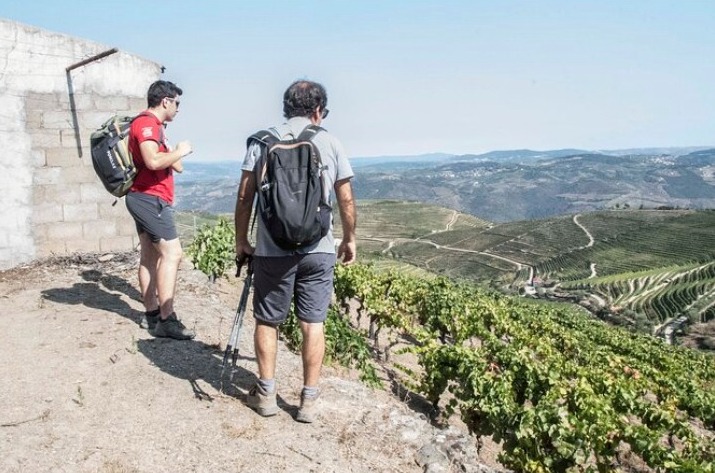 douro valley wine cruise