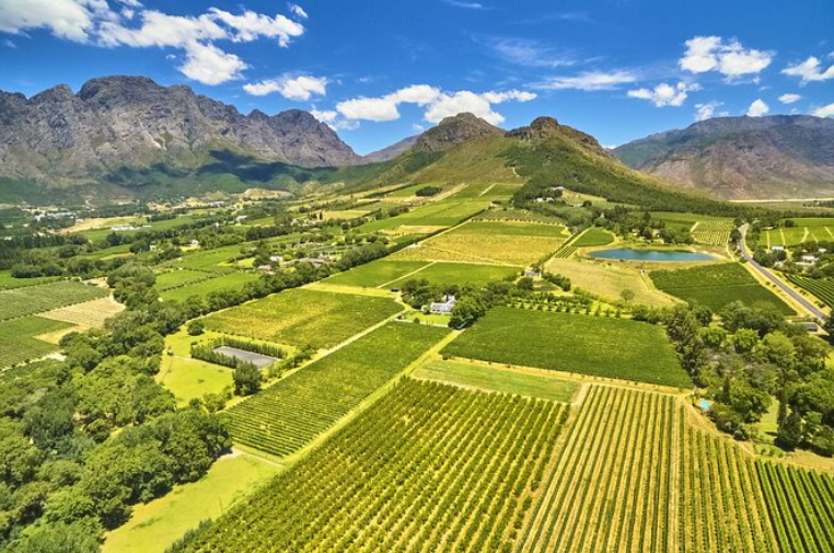 Vineyards from the air via Hot Air Balloon in the Cape Winelands