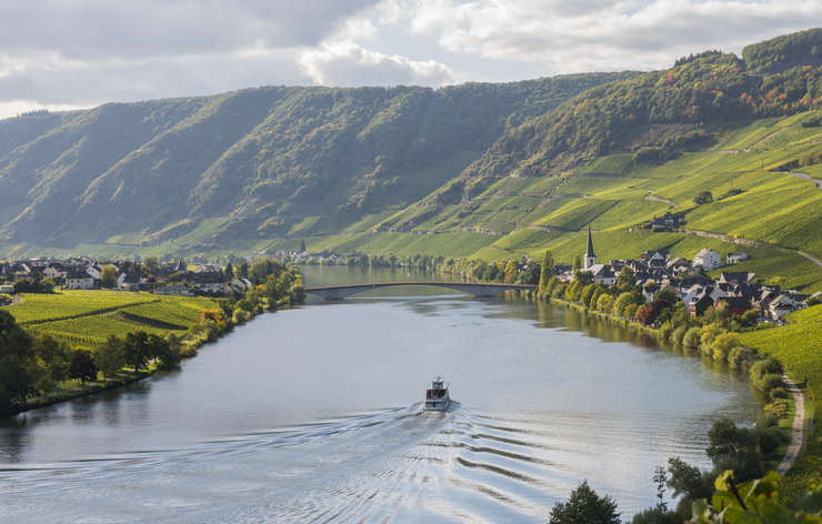 Mosel river cruise