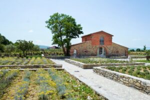 Il Borro Tuscany Winery