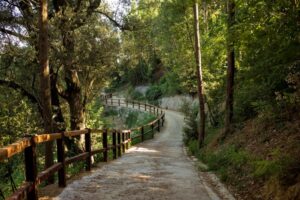 Il Borro Tuscany Winery