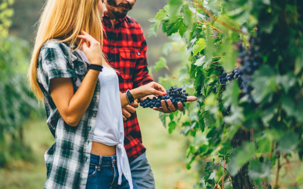 Couple on a Bordeaux wine tour