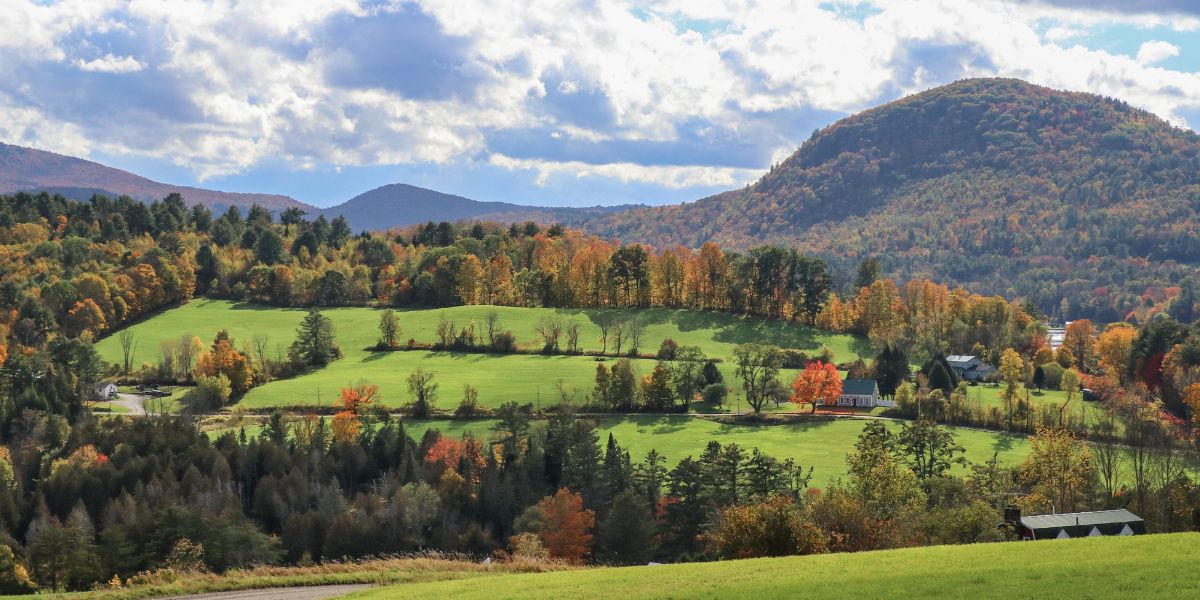 View of Vermont winery and vineyard landscape