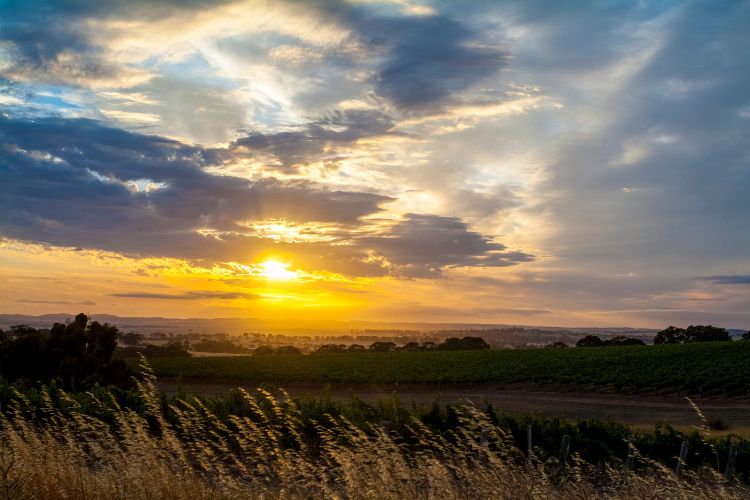 Clare Valley, South Australia