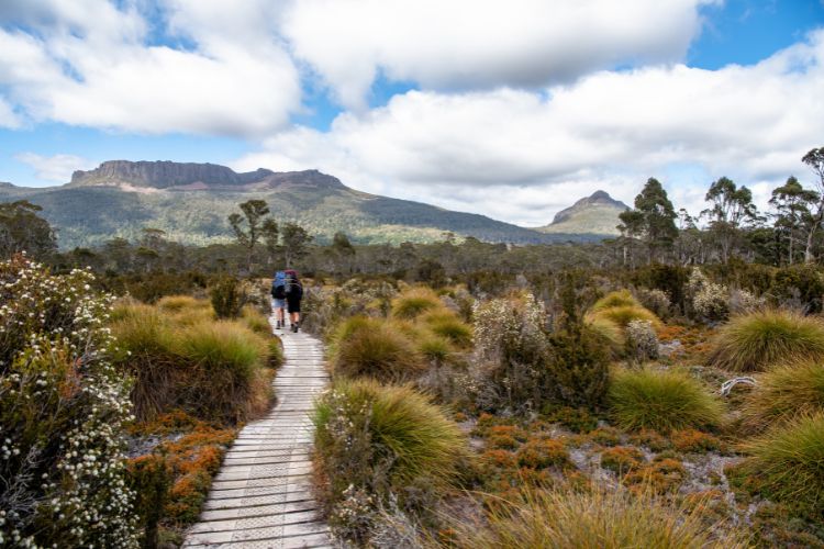 Tasmania wine region Australia