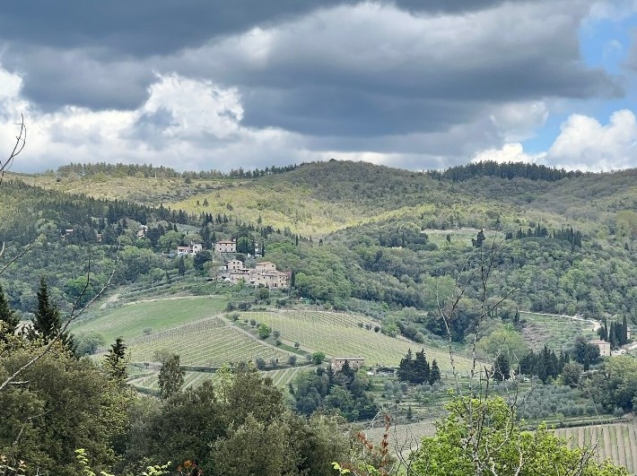 Private wine tour of Tuscany