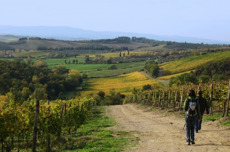 Tuscany wine tour and hiking from Siena