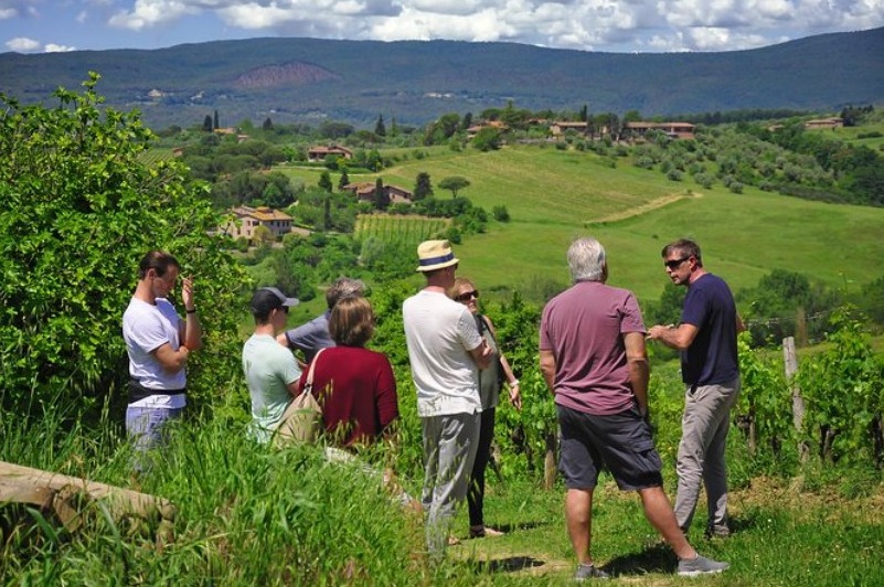Tuscany wine tour from Siena